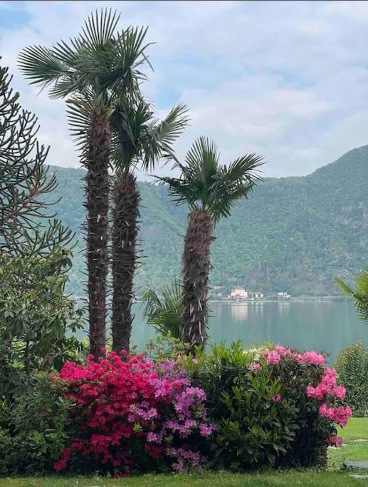 Appartamento Con Piscina E Sauna بيسون المظهر الخارجي الصورة